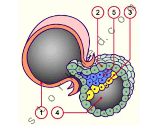 成都代孕公司可靠么,36岁不孕，想在成都西囡医院做试管，有姐妹能分享这家医