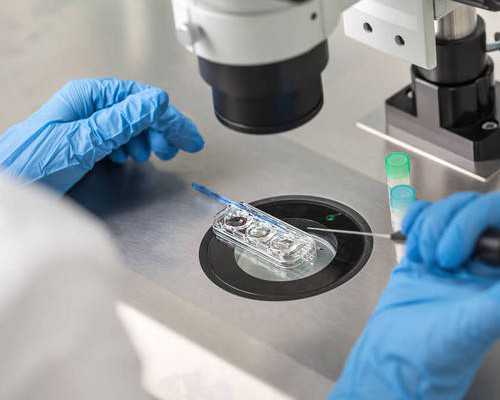 哺乳期清淡饮食食谱，哺乳期吃什么奶水多