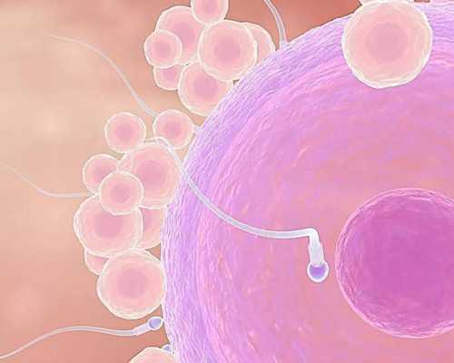 成都有供卵的医院,成都做试管成功率较高的医院有哪些