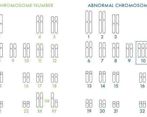 成都代孕公司包成功,成都做试管私立医院_成都试管医院排名，成都做试管的医